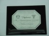 diploma Italia en placa de aluminio Anodizado de 175 mm x 250 mm, grabado con sus datos, en base de cristal, poli�ster (polyester), o madera, con su logotipo impreso y o grabado
